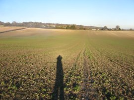 View back to the Downs