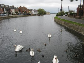 Emsworth Mill Pond