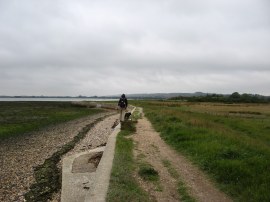 Solent Way, nr Langstone