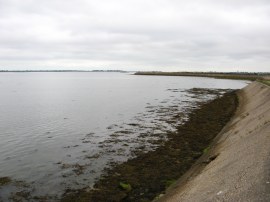 Sea Wall by Farlington Marshes