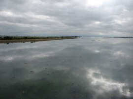 Langstone Harbour