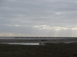 Concrete barges lining the coast