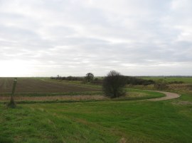 Leaving the Flood Bank