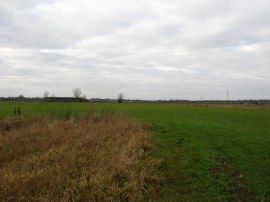 Fields nr Bradwell on Sea