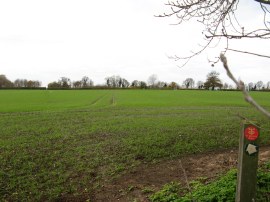 Path leading to Southminster Road