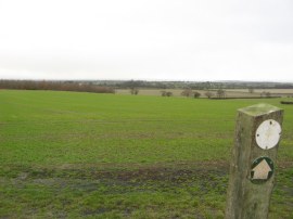 Field nr St Lawrence