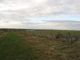 Path leading Mayland Creek