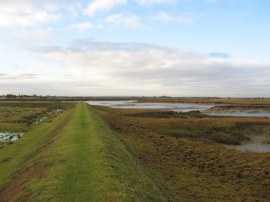 Path alongside Mayland Creek