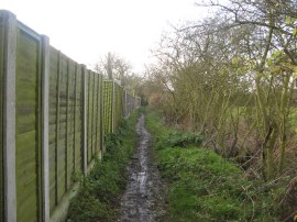 Path leading to Maylandsea