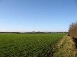 Footpath from Birchwood Road