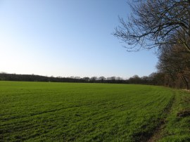 Path leading to Maylandsea