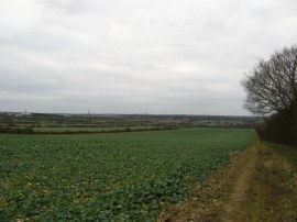 Field nr Hill Farm