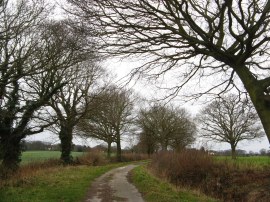 Seamans Lane