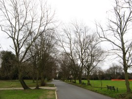 Common Road, Stock