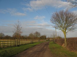 Driveway leading to Fristling Hall