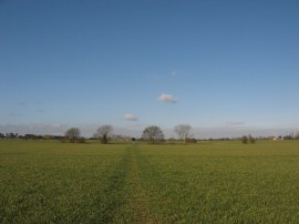 Path leaving Blackmore