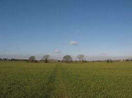 Path leaving Blackmore