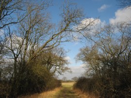 Lane from Nine Ashes Road