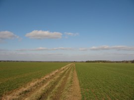 Chipping Ongar Airfield