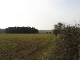 Footpath from the Trewsbury Road