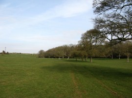 Looking back towards the source