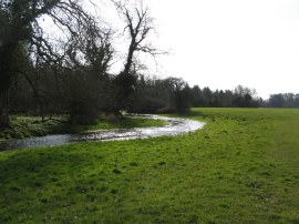 Our first sight of the River Thames