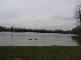 Neigh Bridge Country Park