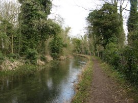 Path nr the Lower Mill Estate