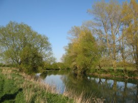 Thames between Cricklade and Castle Eaton