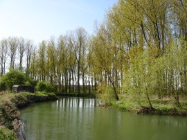 River Thames nr Tadpole Bridge