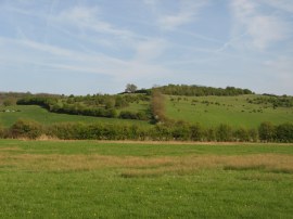 View towards Beacon Hill