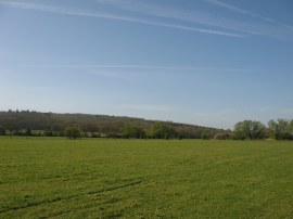 Wytham Hill