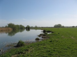 River Thames nr Wytham Hill