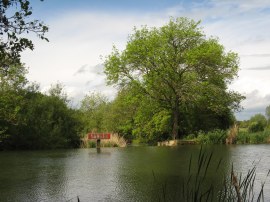 Entrance to Swift Ditch