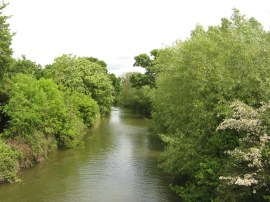 The Clifton Cut