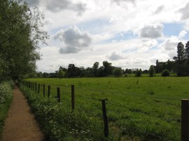 Wallingford Castle Meadows