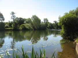 River Thames nr Wallingford