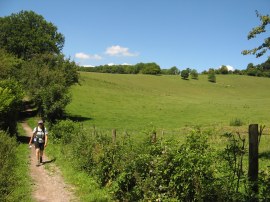 Path nr Coombe Park Farm