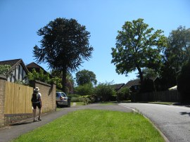 Hazel Road, Purley on Thames