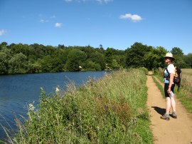 Approaching Reading