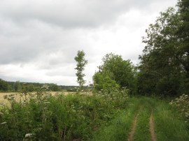 Heading towards Shiplake