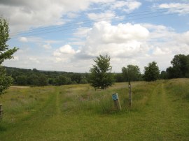 Path nr Culham Court