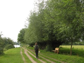 Path besides Cock Meadow