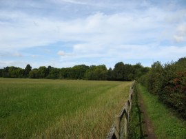 Footpath leaving Datchet