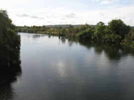 River Thames from the Albert Bridge