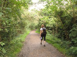 Path alongside Ham Lands Nature Reserve