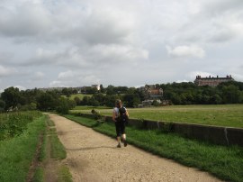 Petersham Meadows