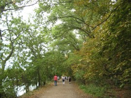 Path heading towards Putney