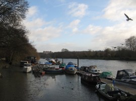 View down river from Orleans Gardens