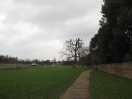 Path in Syon Park